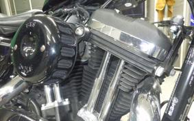 HARLEY XL1200XS 2019