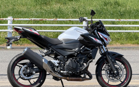 KAWASAKI Z400 2019 EX400G