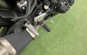KAWASAKI Z900 2020 ZR900B