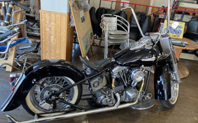 HARLEY HARLEY KIT BIKE 2017 110