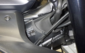 TRIUMPH DAYTONA 660 2024