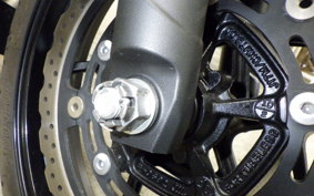 KAWASAKI NINJA 250 2019