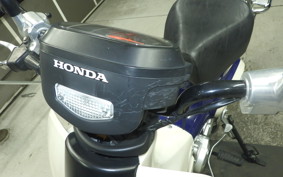 HONDA C110 SUPER CUB