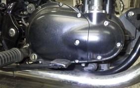 KAWASAKI W800 CAFE 2020 EJ800B