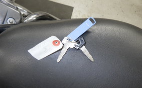 YAMAHA VIRAGO 250 3DM