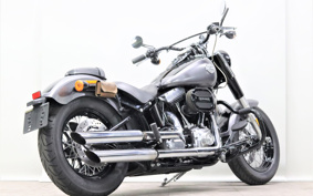 HARLEY FLS 2016 JRV