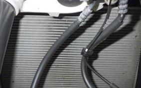 KAWASAKI NINJA 1000 SX 2023