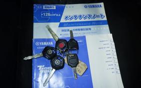 YAMAHA TENERE 700 2021 DM09J