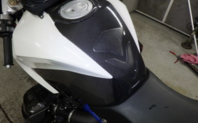 BMW HP2 SPORT 2009
