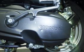 HONDA GIORNO 3 AF77
