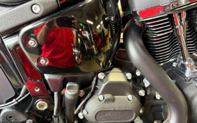 HARLEY FXLRS 2025 YWA