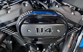 HARLEY FXBBS 2022 YYK