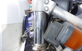 YAMAHA TT250R RAID 4GY