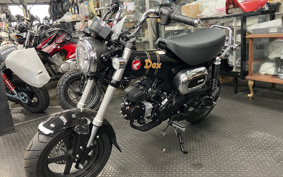 HONDA  DUX 125 JB06