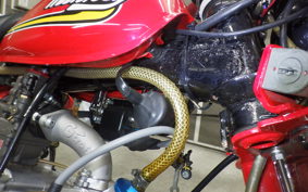 HONDA MONKEY 2009 Z50J