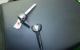 KAWASAKI NINJA 1100SX SE 2025 ZXT10H