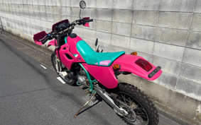 KAWASAKI KDX250SR DX250F