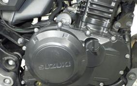 SUZUKI V-STROM 250