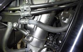 HONDA MONKEY 125 JB03