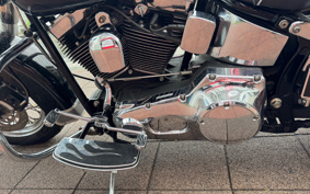 HARLEY FLSTC 2006 BJY