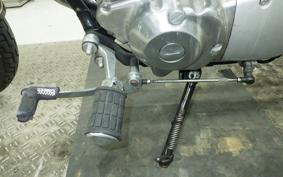 YAMAHA VIRAGO 250 3DM