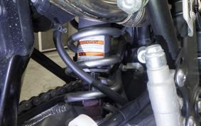 KAWASAKI KLX250D TRACKER X 2024 LX250V