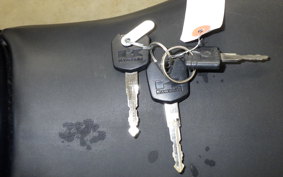 KAWASAKI NINJA 250 ABS 2020 EX250L