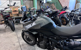 TRIUMPH TIGER SPORT 800 2026 L25P18