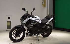 KAWASAKI Z250 2022 ER250C