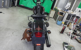 OTHER +HD. FLSTSB1580 2008