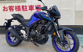 YAMAHA MT-03 2023 RH21J