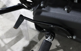 HARLEY FXBBS 2021 YYK