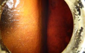 YAMAHA SR400 1983 2H6