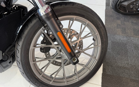 HARLEY  HARLEY RH975S NIGHT  STAR  2023 ZF1