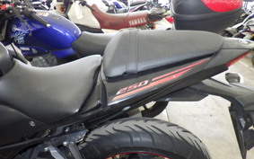 YAMAHA YZF-R25 RG10J