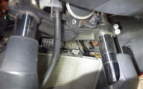 KAWASAKI NINJA 400 2016 EX400E