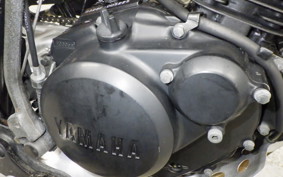 YAMAHA TW225 2021 DG09J