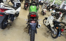 KAWASAKI VERSYS-X 250 A 1994 LE250D