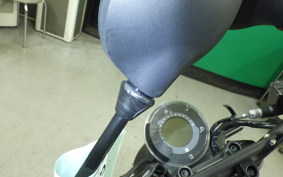 HUSQVARNA SVARTPILEN 401 2025