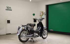HONDA LITTLE CUB 2026 AA01