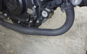 HONDA VTR 250 Gen. 2 2019 MC33