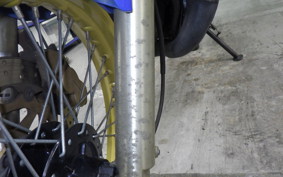 YAMAHA TDR250 2015 2YK