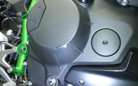 KAWASAKI NINJA H2 2019