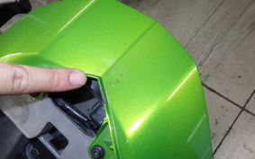 KAWASAKI NINJA 1000 2011