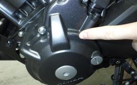 HONDA REBEL 250 A MC49