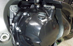KAWASAKI NINJA 1000 A 2019 ZXT00W