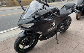 KAWASAKI NINJA 250 ABS EX250P