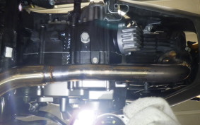 KAWASAKI Z125 PRO 2011 BR125H