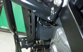 SUZUKI DL650 ( V-Strom 650 ) XTA 2019 C733A