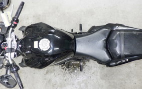 YAMAHA FZ1 FAZER 2013 RN21J
